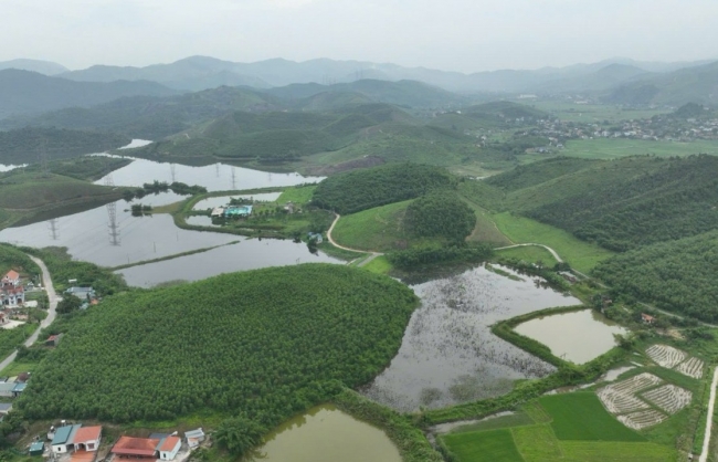 quang ninh thuc day lam giau lam sach co so du lieu dat dai