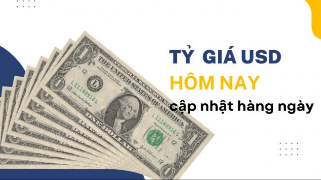 Tỷ giá USD hôm nay (13/10): Thế giới tăng nhẹ, trong nước giảm mạnh