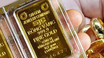 Giá vàng hôm nay (2/11): Vàng miếng giảm ở chiều mua