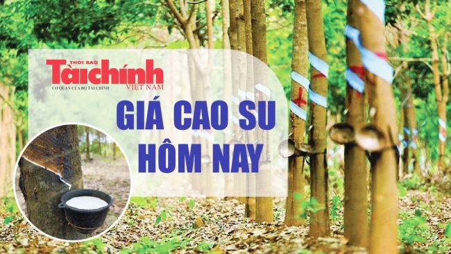 Ngày 29/10: Giá cao su thế giới diễn biến trái chiều