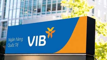 VIB tăng tốc huy động trái phiếu, tiếp sức đà tăng 15% dư nợ cho vay