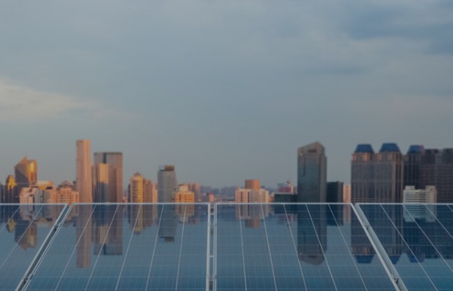 Lợi nhuận của Điện Quang đảo chiều có lãi sau 2 năm thua lỗ