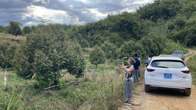 Việt Nam và IFAD ký kết Hiệp định viện trợ không hoàn lại 9,6 triệu USD giảm thiểu khí thải tại Lâm Đồng