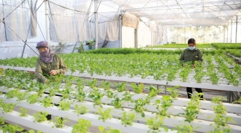 Đầu tư vào thiên nhiên là chìa khóa cho tương lai thịnh vượng