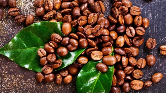 Ngày 1/11: Giá cà phê, hồ tiêu nối dài đà tăng