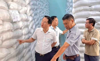 Xuất cấp 5.000 tấn gạo dự trữ quốc gia hỗ trợ người dân vùng bị thiên tai tại Quảng Ngãi