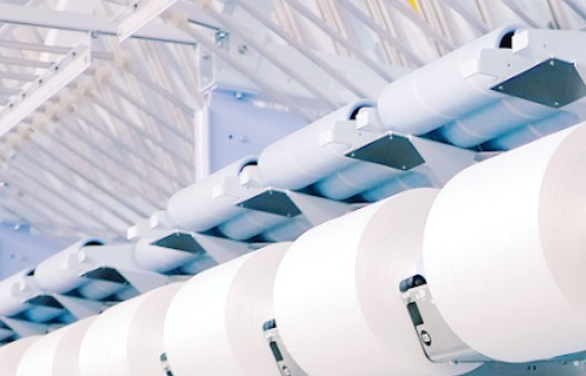 Biên lợi nhuận cải thiện không đủ bù áp lực chi phí, lãi ròng Sợi Thế Kỷ giảm 87%