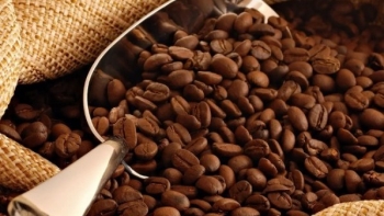 Ngày 7/11: Giá cà phê trong nước phục hồi, hồ tiêu neo cao ở mức 147.000 đồng/kg