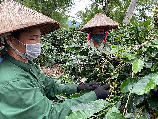 undefined Điện Biên: Thành quả nâng cao đời sống người nghèo