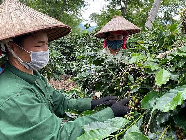 Điện Biên: Thành quả nâng cao đời sống người nghèo