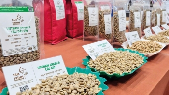 Cà phê đối mặt áp lực biến động lớn về giá