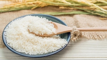 Ngày 11/11: Giá lúa gạo tại Đồng bằng sông Cửu Long lặng sóng