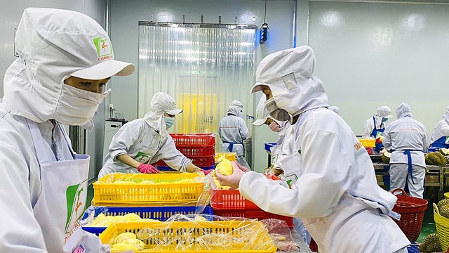 Kim ngạch thương mại giữa Việt Nam - Trung Quốc đã đạt hơn 208 tỷ USD, vượt năm 2024