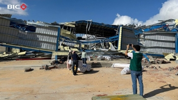 Bảo hiểm BIDV (BIC) tiếp nhận hơn 120 vụ tổn thất sau bão số 13, ước tính thiệt hại 69 tỷ đồng