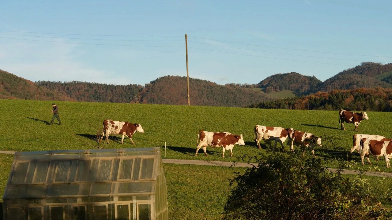 Thụy Sĩ đạt được thỏa thuận với Hoa Kỳ giảm thuế xuống 15%