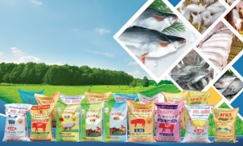 AFIEX chính thức được chấp thuận niêm yết cổ phiếu AFX trên HoSE