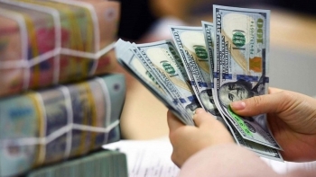 Tỷ giá USD hôm nay (18/11): Thế giới và thị trường tự do đồng loạt tăng