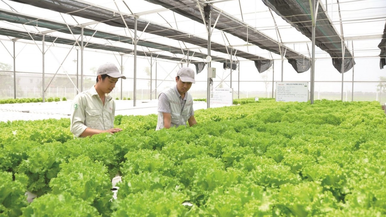 Tạo điều kiện cho doanh nghiệp, hợp tác xã tiếp cận gói tín dụng xanh, ưu đãi