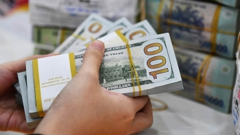 Tỷ giá USD hôm nay (20/11): Thế giới tăng, thị trường tự do đảo chiều giảm mạnh