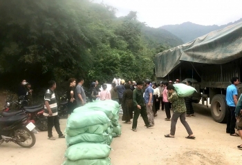 Xuất cấp hơn 156 tấn gạo cho 7 xã của tỉnh Thanh Hoá hỗ trợ người dân chăm sóc, bảo vệ rừng