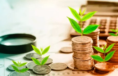 Hiệu suất quỹ đầu tư phân hóa mạnh trong tháng 10 giữa áp lực rút vốn gia tăng