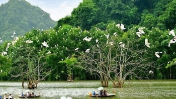 Việt Nam cam kết bảo vệ, bảo tồn thiên nhiên, đa dạng sinh học tại CoP20