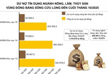 Tín dụng tạo lực đẩy phát triển nông nghiệp hiện đại Đồng bằng sông Cửu Long