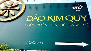 Những tổ chức, cá nhân sai phạm ở dự án Cù lao Tân Vạn (Đảo Kim Quy) như thế nào?