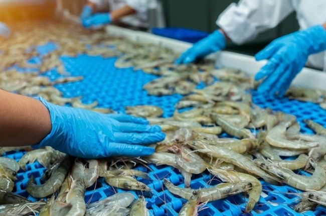 Đến năm 2045, thủy sản là ngành kinh tế thương mại hiện đại