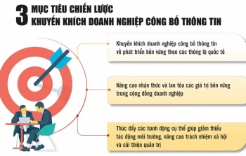 Doanh nghiệp Việt bứt tốc xây dựng báo cáo phát triển bền vững