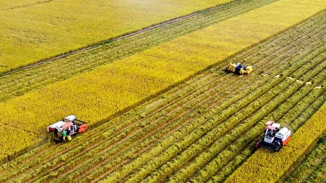 Đồng lòng kiến tạo nền nông nghiệp thịnh vượng, hiện đại, bền vững