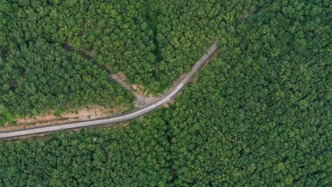 Phát triển chuỗi giá trị xanh là xu hướng tất yếu trong tiến trình chuyển đổi nông nghiệp