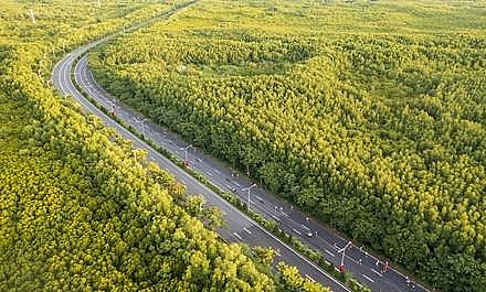 HDBank Green Marathon 2025 mùa thứ tư: Hành trình “xanh” sôi động và đầy mới mẻ