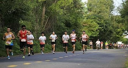 HDBank Green Marathon 2025 mùa thứ tư: Hành trình “xanh” sôi động và đầy mới mẻ