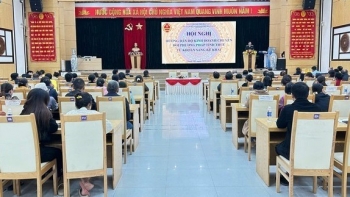 Thuế cơ sở 6 TP. Đà Nẵng hướng dẫn hộ kinh doanh chuyển đổi phương pháp tính thuế