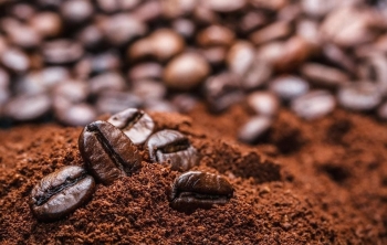 Ngày 6/12: Giá cà phê phục hồi, hồ tiêu quay đầu giảm đồng loạt