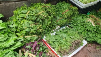 Giá thực phẩm và nhiên liệu leo thang sau mưa lũ kéo CPI tháng 11 tăng 0,45%