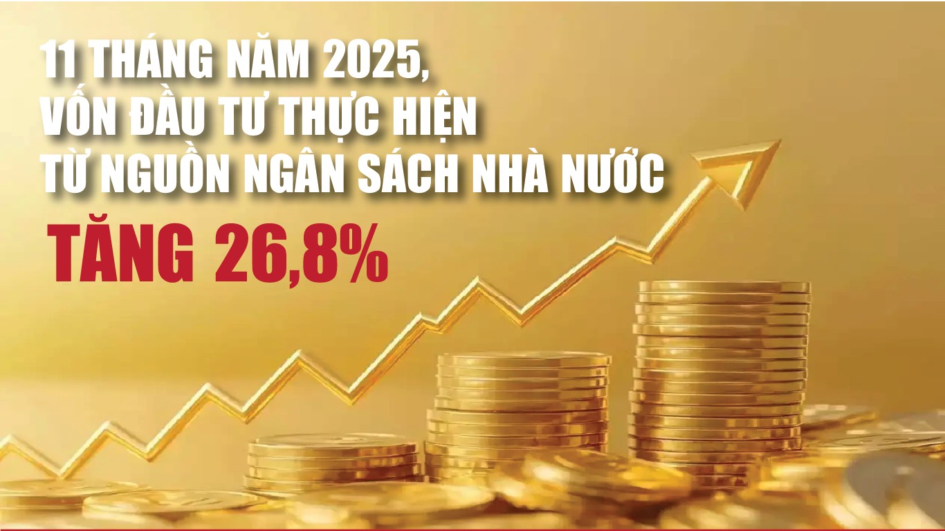 Infographics: Vốn đầu tư thực hiện từ nguồn ngân sách nhà nước 11 tháng ước đạt 736.400 tỷ đồng