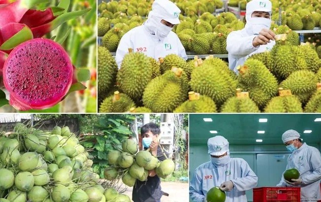 Xuất khẩu nông, lâm, thủy sản hướng tới mốc 70 tỷ USD