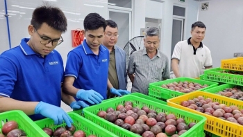 Xây dựng thương hiệu bền vững để đẩy mạnh xuất khẩu chanh leo