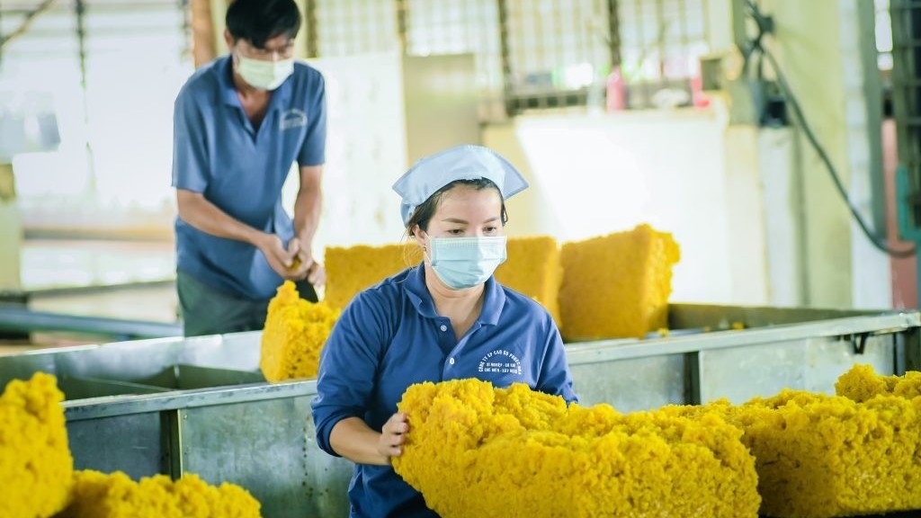 Ngày 13/12: Giá cao su tăng mạnh trên thị trường Nhật Bản