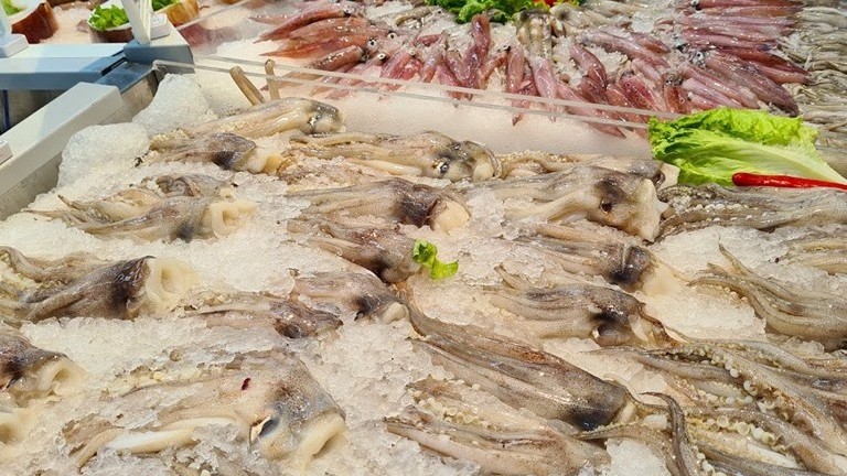 Việt Nam - Thụy Sỹ đẩy mạnh hợp tác thương mại và xuất khẩu