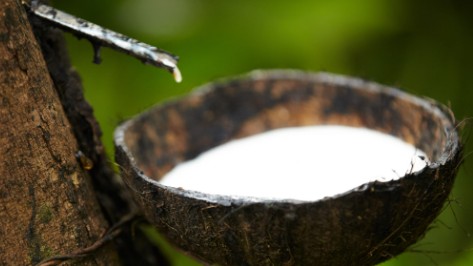 Ngày 17/12: Giá cao su tiếp đà rơi