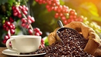 Ngày 18/12: Giá cà phê thế giới “rực đỏ”, hồ tiêu ổn định