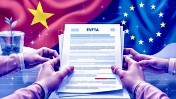 Thúc đẩy doanh nghiệp phát triển bền vững, tăng kết nối Việt Nam, EU