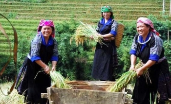 Việt Nam là điểm sáng duy nhất tại châu Á về công tác giảm nghèo