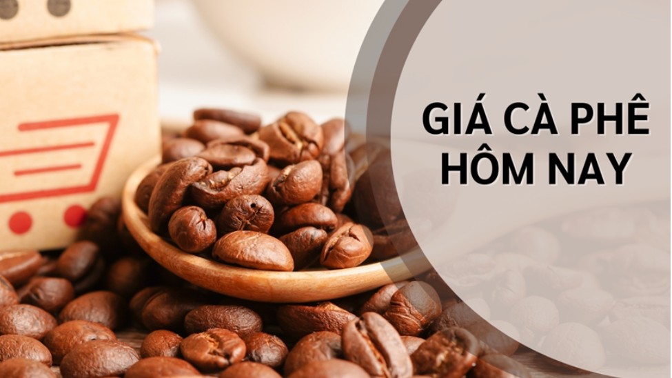 Ngày 21/12: Giá cà phê và hồ tiêu đồng loạt đảo chiều tăng mạnh