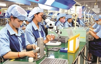 Kỳ vọng nguồn hàng chất lượng từ khối doanh nghiệp FDI