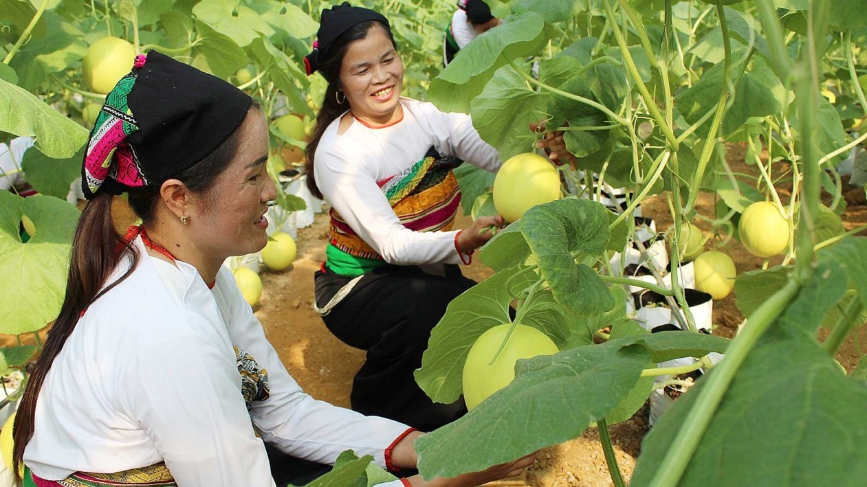 Thanh Hóa tạo chuyển biến rõ nét trong giảm nghèo bền vững