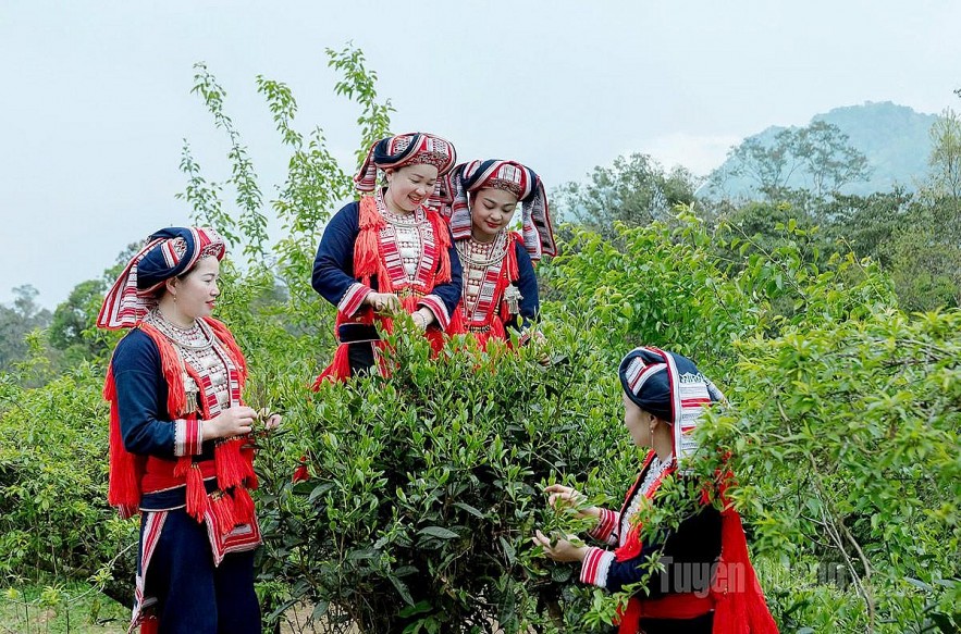 Bố trí khoảng 423.000 tỷ đồng cho giảm nghèo và phát triển vùng dân tộc thiểu số